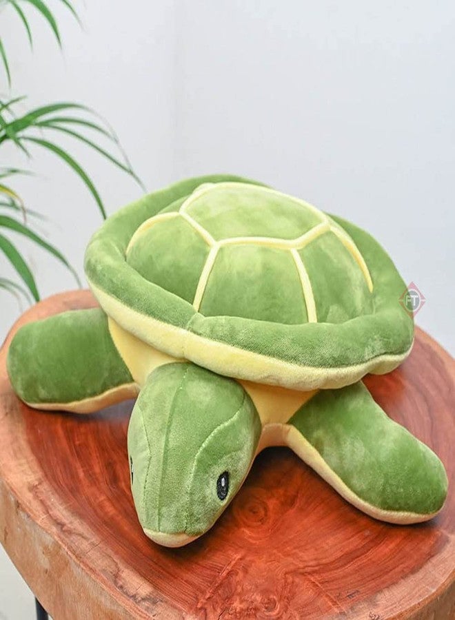 Firstly Traders Soft Toys for Girls | Plush Pillow for Girls | Stuff Toys for Girls | Adorable Green Turtle (32 cm) - Image 2